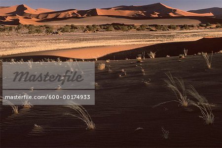 Désert, Sossusvlei, Namibie