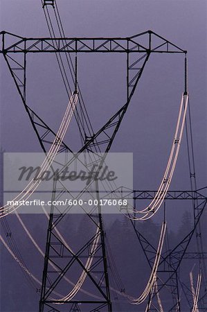 Power Lines, British Columbia, Canada