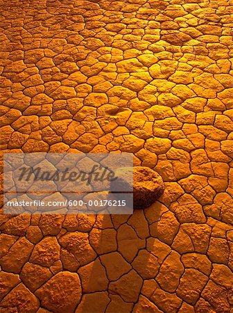 Salt Flats, Wood Buffalo National Park, Alberta, Canada