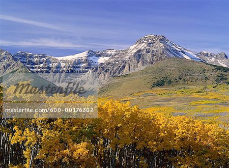 Autumn Scenic, Waterton National Park, Alberta, Canada