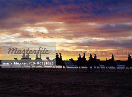 Promenade en chameau sur la plage de Cable Beach Australie