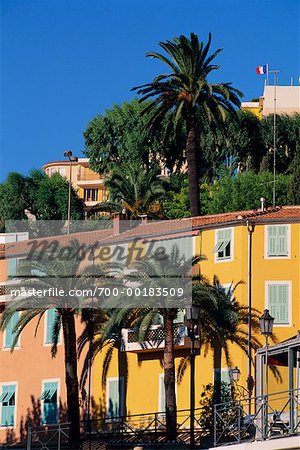 Palm Trees and Buildings Villefrance, France Riviera