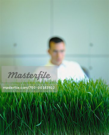 Businessman in Office with Grass