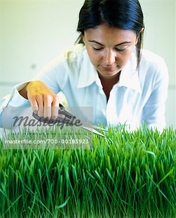Woman Trimming Grass in Office
