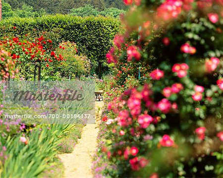 Monet's Garden France