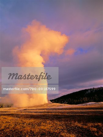 Old Faithful Geysir Yellowstone Nationalpark, Wyoming, USA