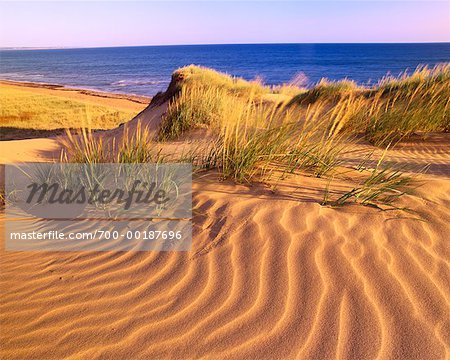 Dune de sable sur la plage Prince Edward Island National Park, Prince Edward Island, Canada