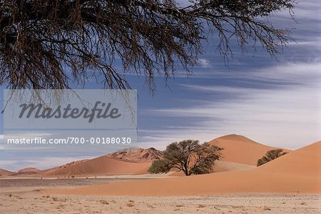 Desert Sossusvlei, Namibia