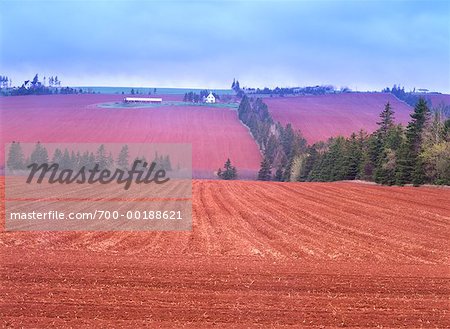 Agriculteur champs agréable vallée Prince Edward Island Canada