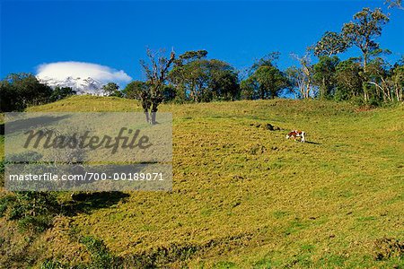 Rural Hillside The Sierra Andean Highlands Ecuador