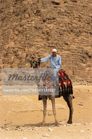 Man on Camel by Pyramids Giza, Egypt