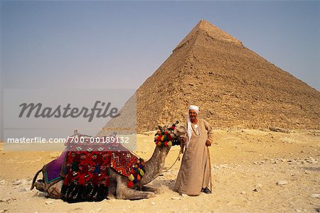 Homme avec Camel en face de la pyramide