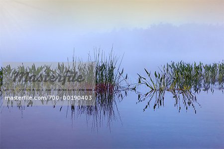 Lake St Peter, Ontario, Canada