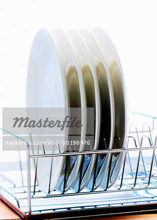 Plates in Dishwasher