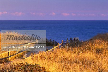 Cape Cod National Seashore Cape Cod, Massachusetts, USA