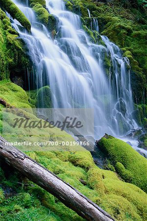 Upper Proxy Falls Oregon, USA