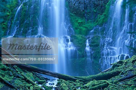 Lower Proxy Falls Oregon, USA