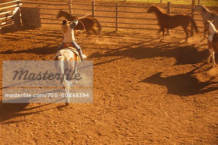 Cowgirl throwing Lasso