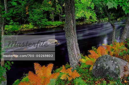 Mersey River, Kejimkujik-Nationalpark, Nova Scotia, Kanada