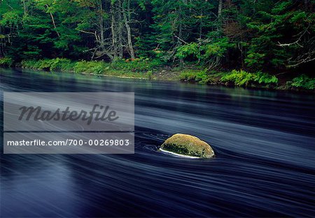 La rivière Mersey, Parc National Kejimkujik, Nouvelle-Écosse, Canada