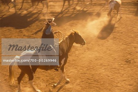 Cowgirl auf Pferd auf der Ranch