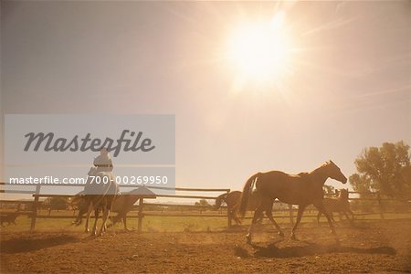 Woman Horseback Riding