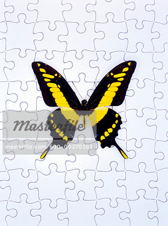 Butterfly and Puzzle