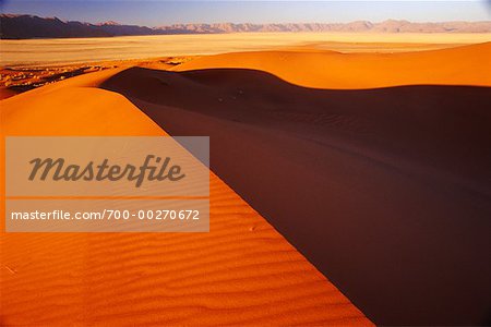 Sand Dune Namibia Africa