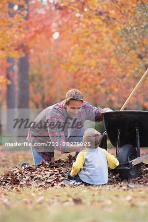 Père et fils, ramasser des feuilles