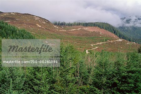 Deforestation British Columbia, Canada