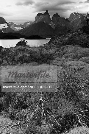 Los Cuernos und Lake Pehoe Torres del Paine Nationalpark-Patagonien, Chile