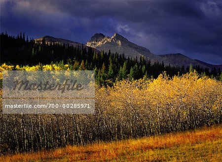 Paysage d'automne (Alberta), Canada