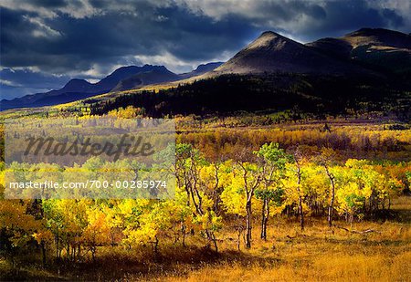 Paysage d'automne (Alberta), Canada