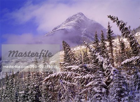 Fresh Snowfall Banff National Park Alberta, Canada