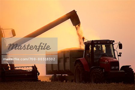 Farm Machinery Harvesting