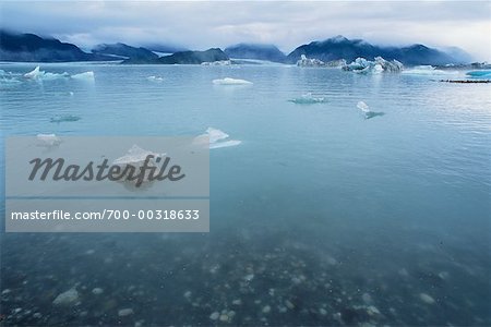 Alsek lac Glacier Bay National Park, Alaska, USA