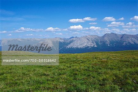 Chaîne de montagnes et Meadow, sédiments de ruisseau, Tashenshini River, BC, Canada