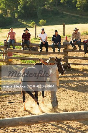 Assen Jackarro & Jillaroo School, neuen Südwales-Australien