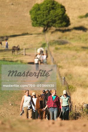 People Leading Horses