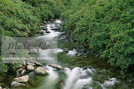 Ruisseau monter aspirants Parc National de South Island, Nouvelle-Zélande