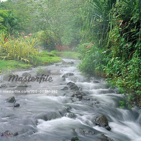 Thermal Springs