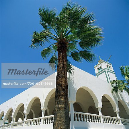 Musée Bardo Tunis, Tunisie, Afrique Musée Bardo Tunis, Tunisie, Afrique