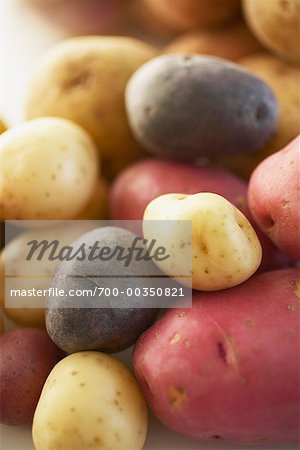 Gros plan d'assortiments de pommes de terre