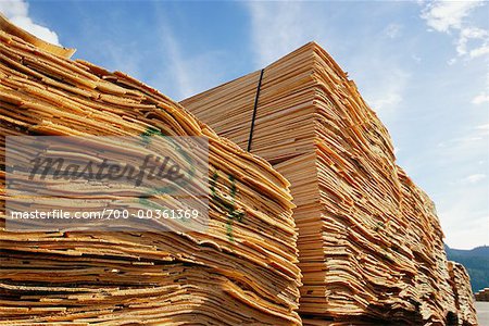 Stack of Plywood Veneer