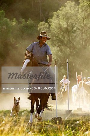 Homme en compétition d'équitation à cheval