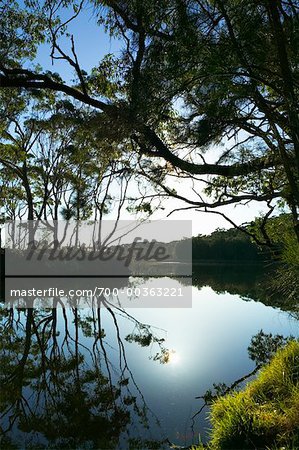 Tabourie See New-South.Wales, Australien