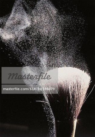 Powder brush