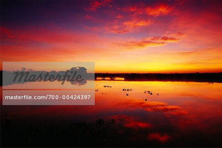 Lever du soleil, Pantanal, Transpantaneira, Brésil