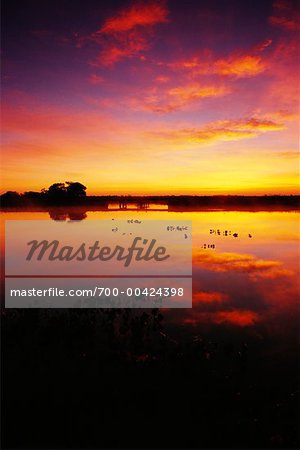 Sunrise, Pantanal, Transpantaneira, Brazil