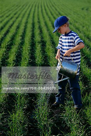 Boy Watering a Wheat Field